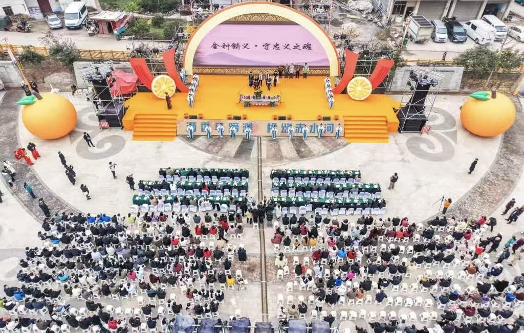 马蹄“甜橙丰收季”火热启幕 万亩橙林点燃冬日丰收喜悦