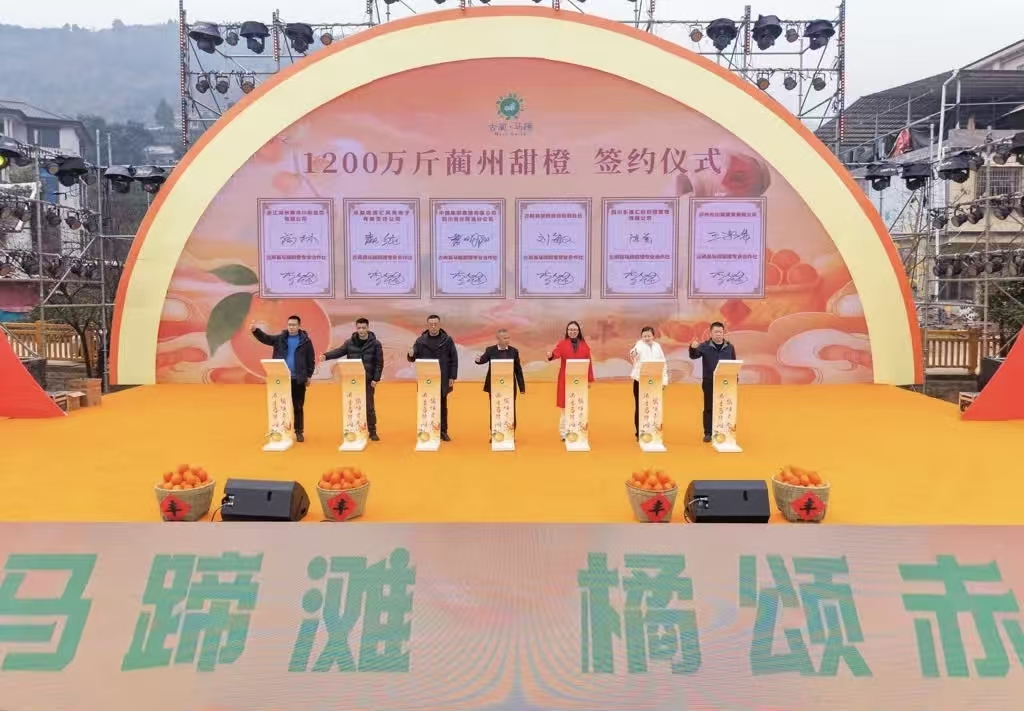 马蹄“甜橙丰收季”火热启幕 万亩橙林点燃冬日丰收喜悦