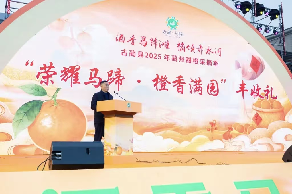 圆满“橙”功!2025年蔺州甜橙采摘季完美收官!