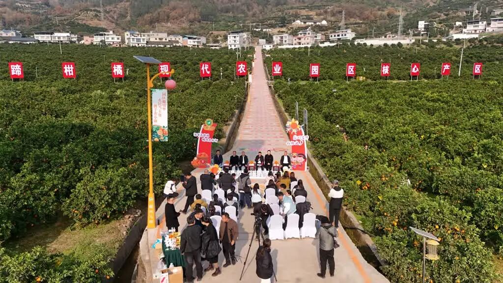 不坐会议室,古蔺马蹄办了一场沾泥土的“田野发布会”