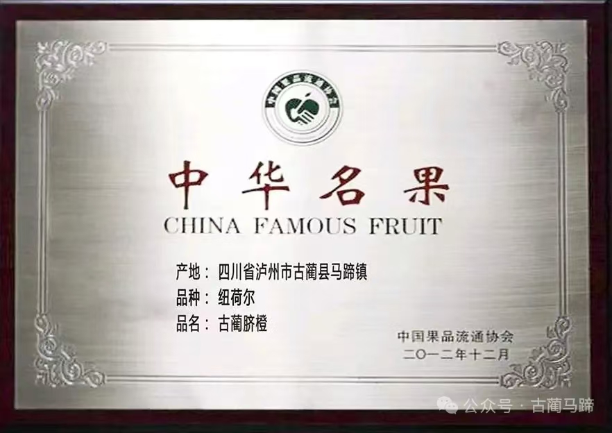 古蔺马蹄甜橙获得过哪些荣誉?