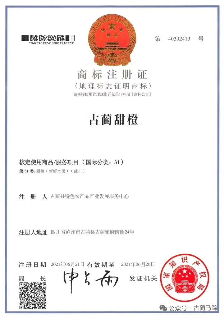 古蔺马蹄甜橙获得过哪些荣誉?