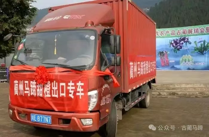 古蔺马蹄甜橙获得过哪些荣誉?