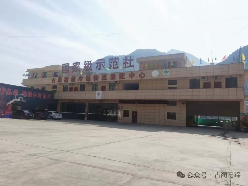 古蔺马蹄甜橙获得过哪些荣誉?
