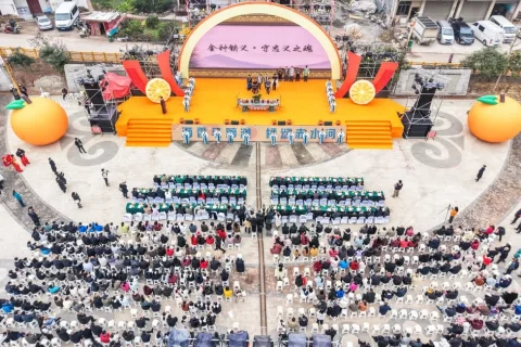 马蹄“甜橙丰收季”火热启幕 万亩橙林点燃冬日丰收喜悦