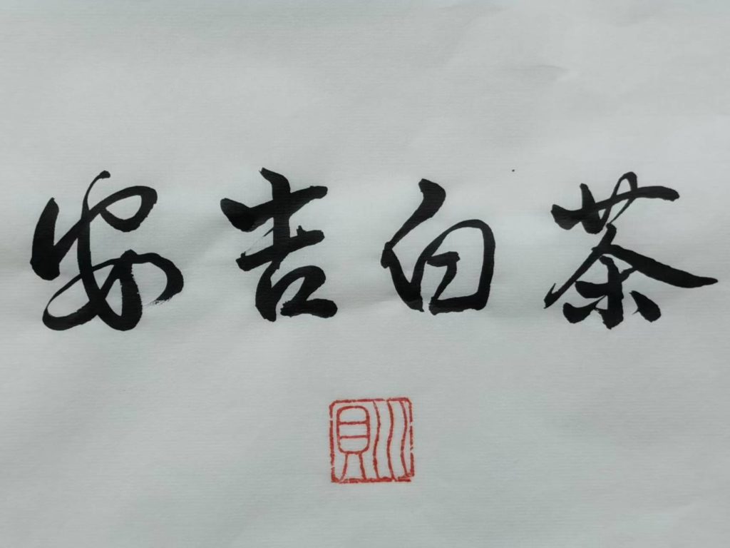 安吉白茶