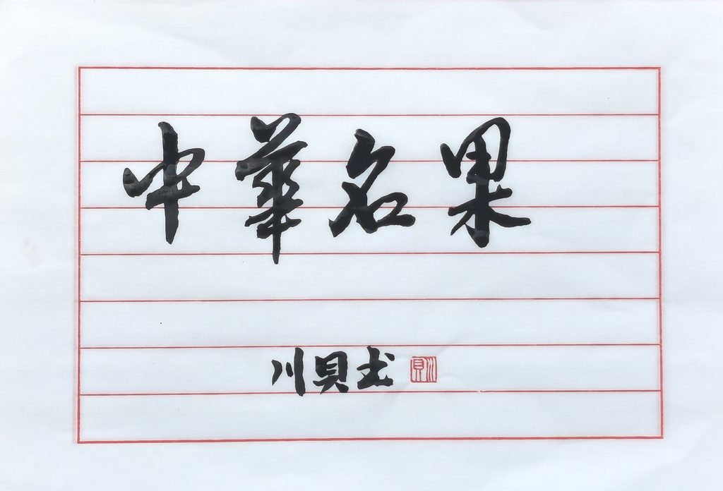 关于川贝